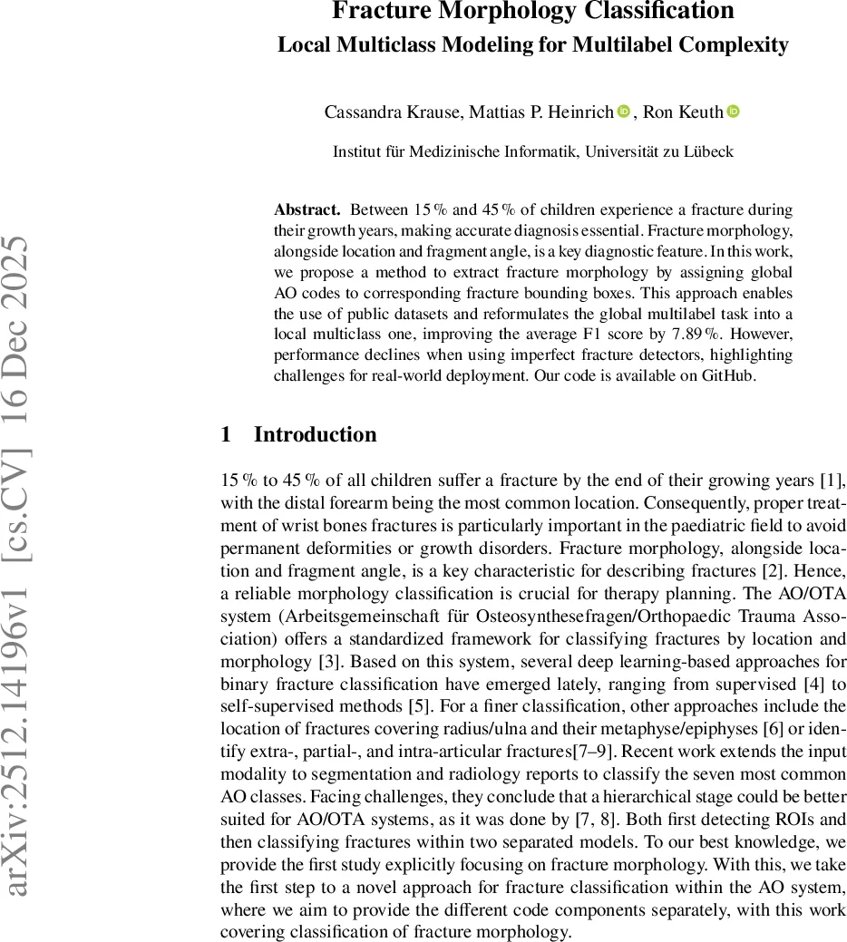 Fracture Morphology Classification: Local Multiclass Modeling for Multilabel Complexity