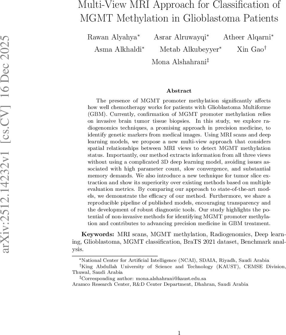 Multi-View MRI Approach for Classification of MGMT Methylation in Glioblastoma Patients
