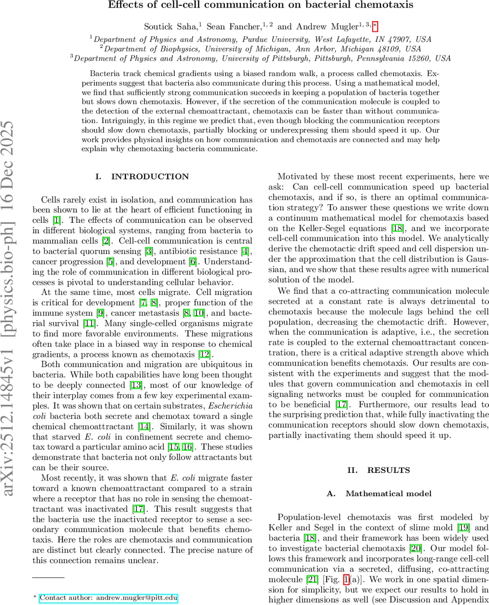 Effects of cell-cell communication on bacterial chemotaxis