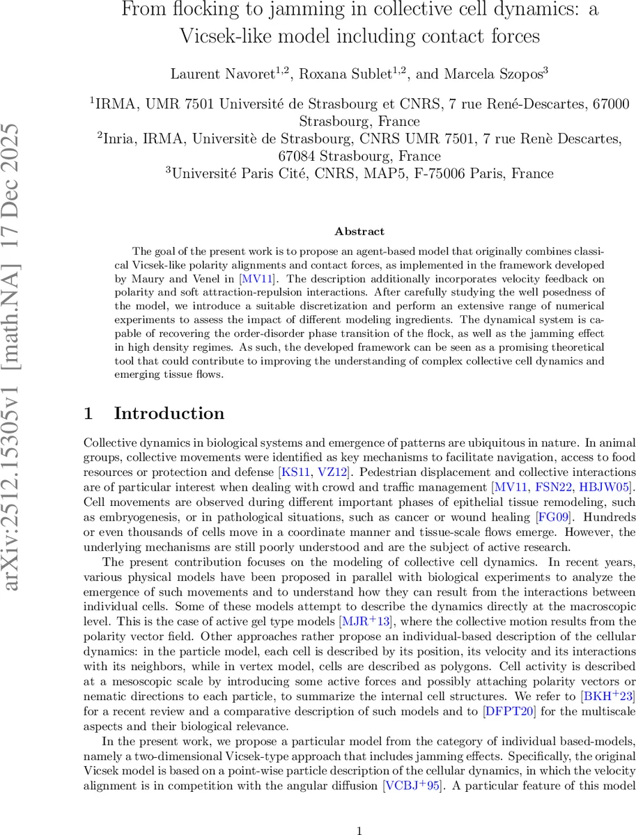 From flocking to jamming in collective cell dynamics: a Vicsek-like model including contact forces