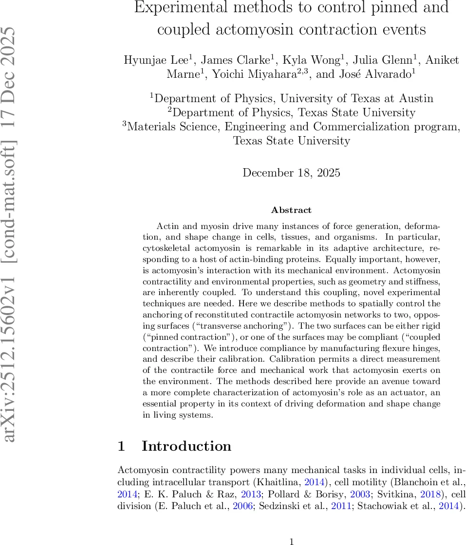 Asymptotic state of nonlinear Landau damping in one-dimensional plasma