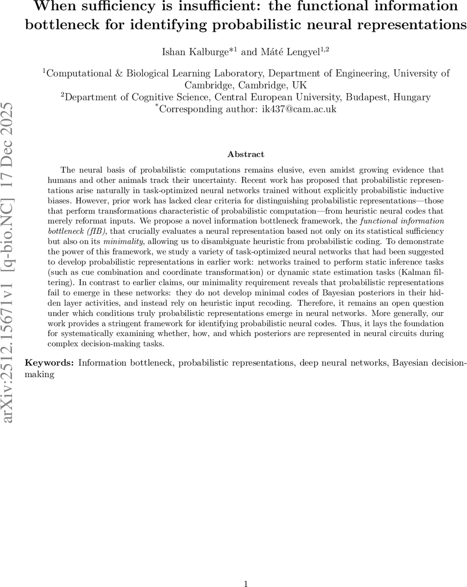 When sufficiency is insufficient: the functional information bottleneck for identifying probabilistic neural representations