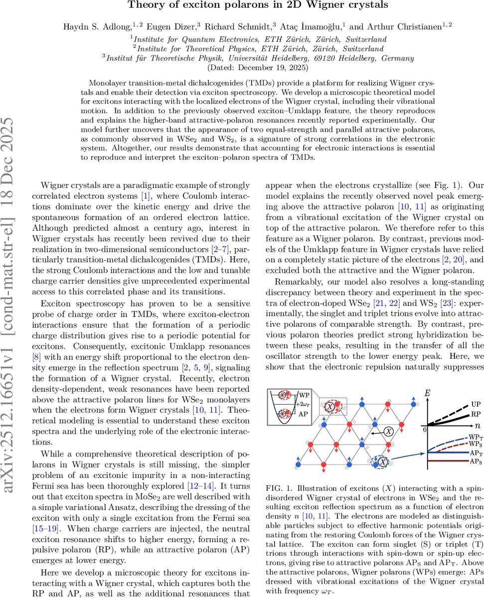 Theory of exciton polarons in 2D Wigner crystals