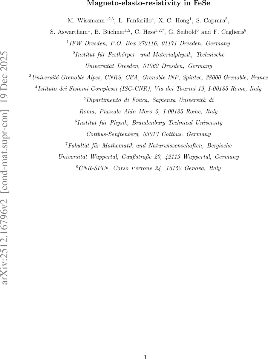 Magneto-elasto-resistivity in FeSe