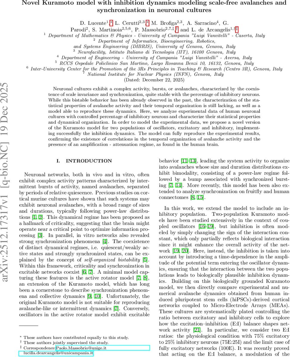 Novel Kuramoto model with inhibition dynamics modeling scale-free avalanches and synchronization in neuronal cultures