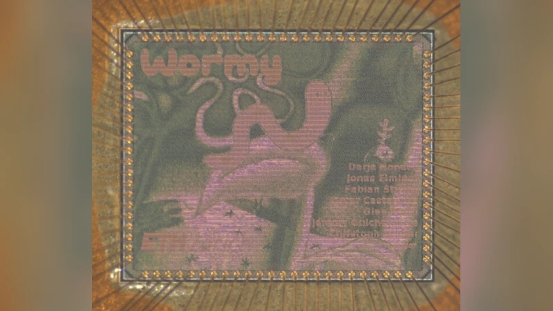 A novel agent-based simulation framework for sensing in complex adaptive   environments