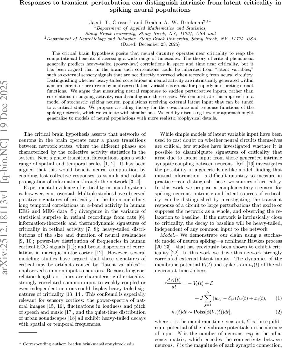 Responses to transient perturbation can distinguish intrinsic from latent criticality in spiking neural populations
