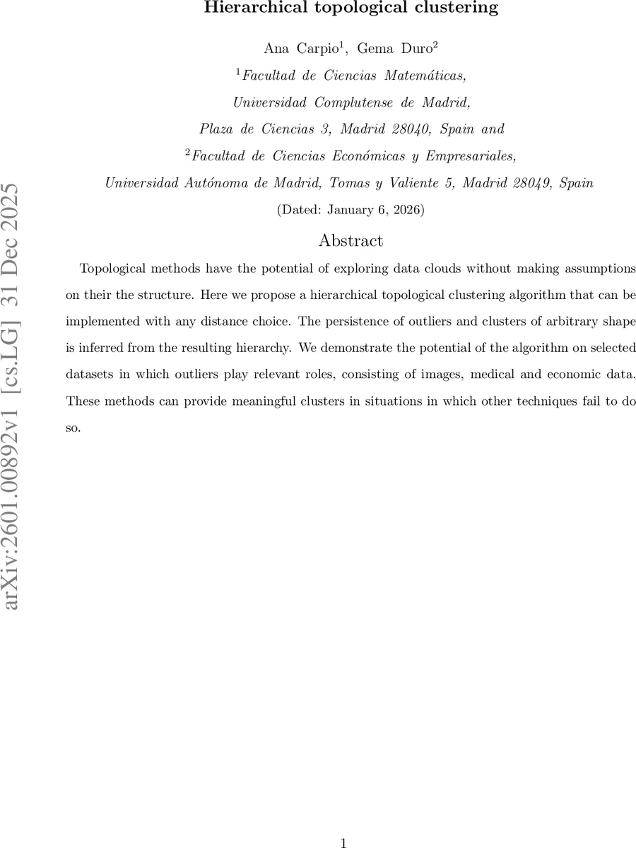 Hierarchical topological clustering