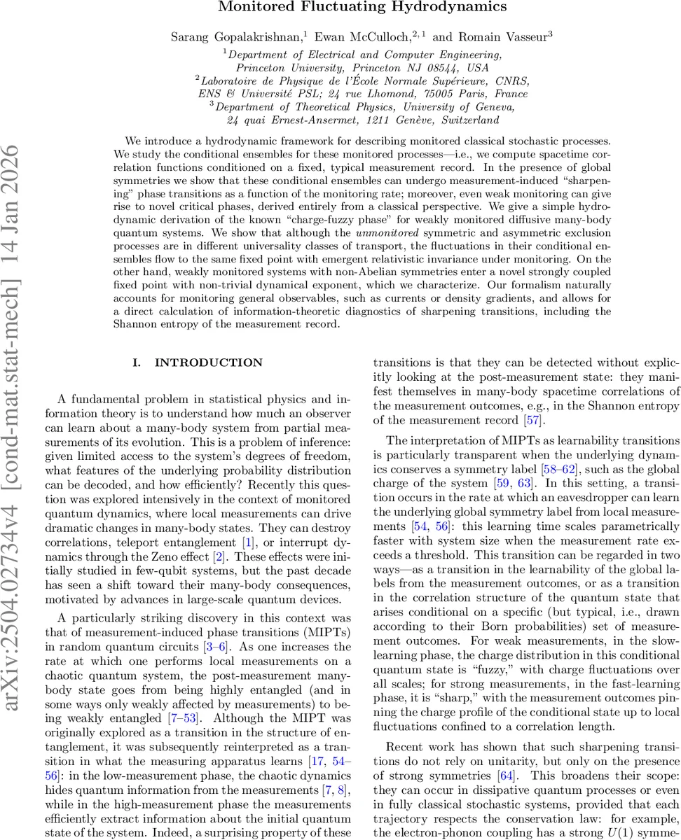Monitored Fluctuating Hydrodynamics