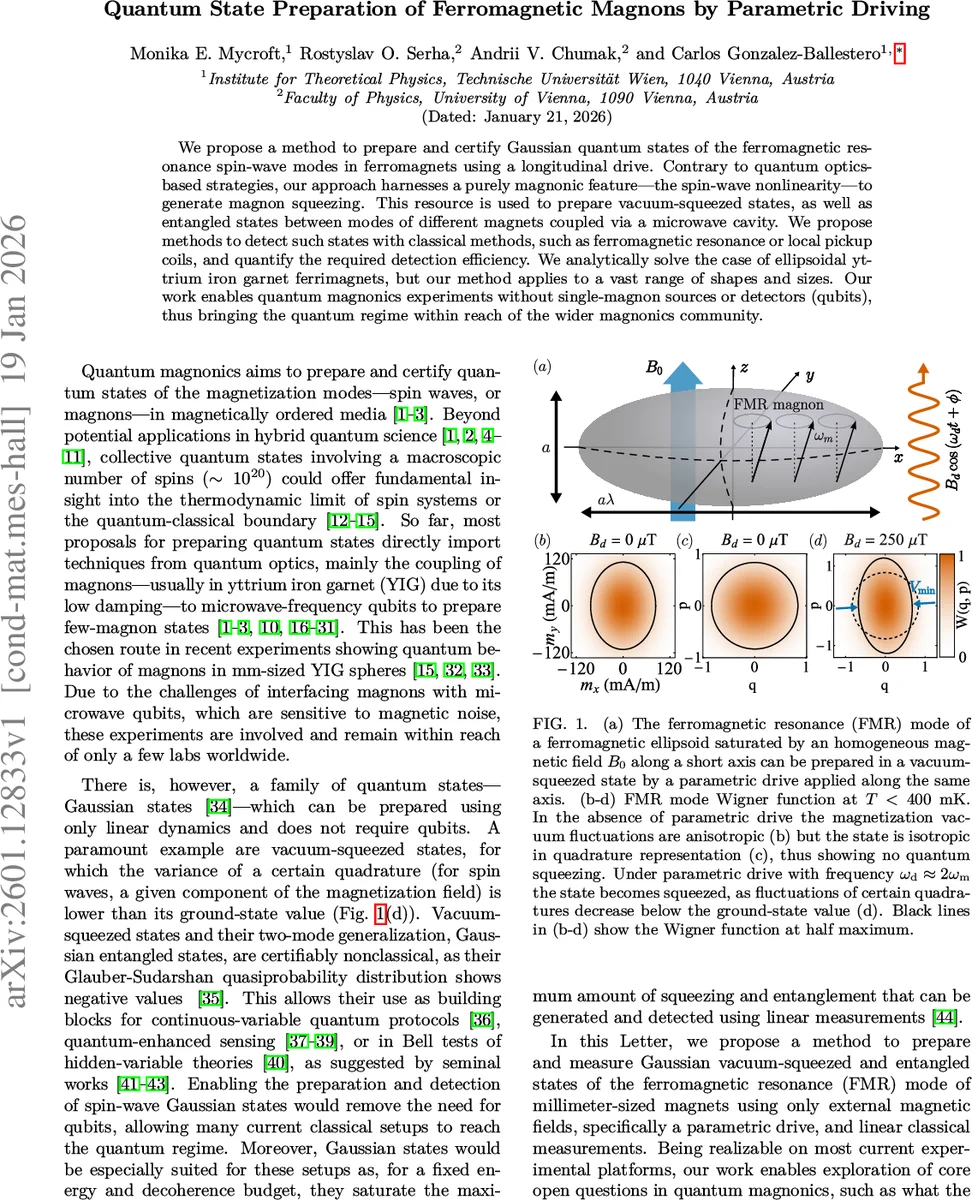 Quantum State Preparation of Ferromagnetic Magnons by Parametric Driving