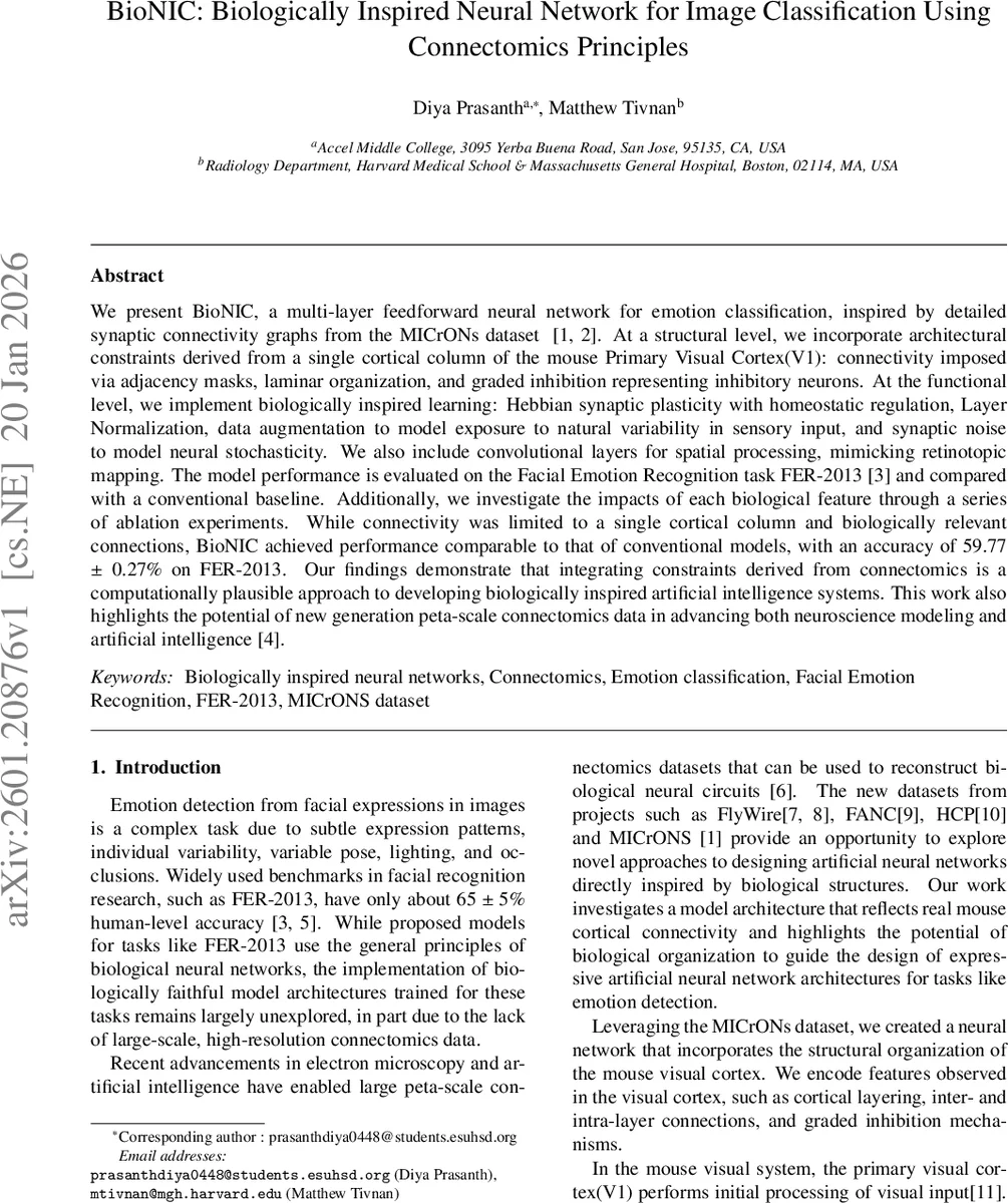 D-Models and E-Models: Diversity-Stability Trade-offs in the Sampling Behavior of Large Language Models