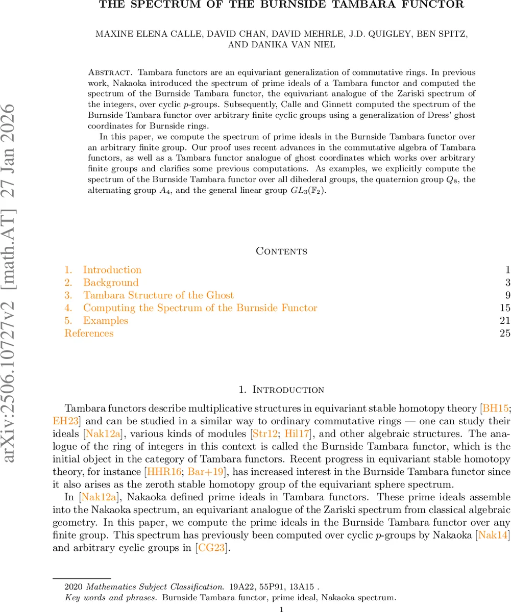 The spectrum of the Burnside Tambara functor