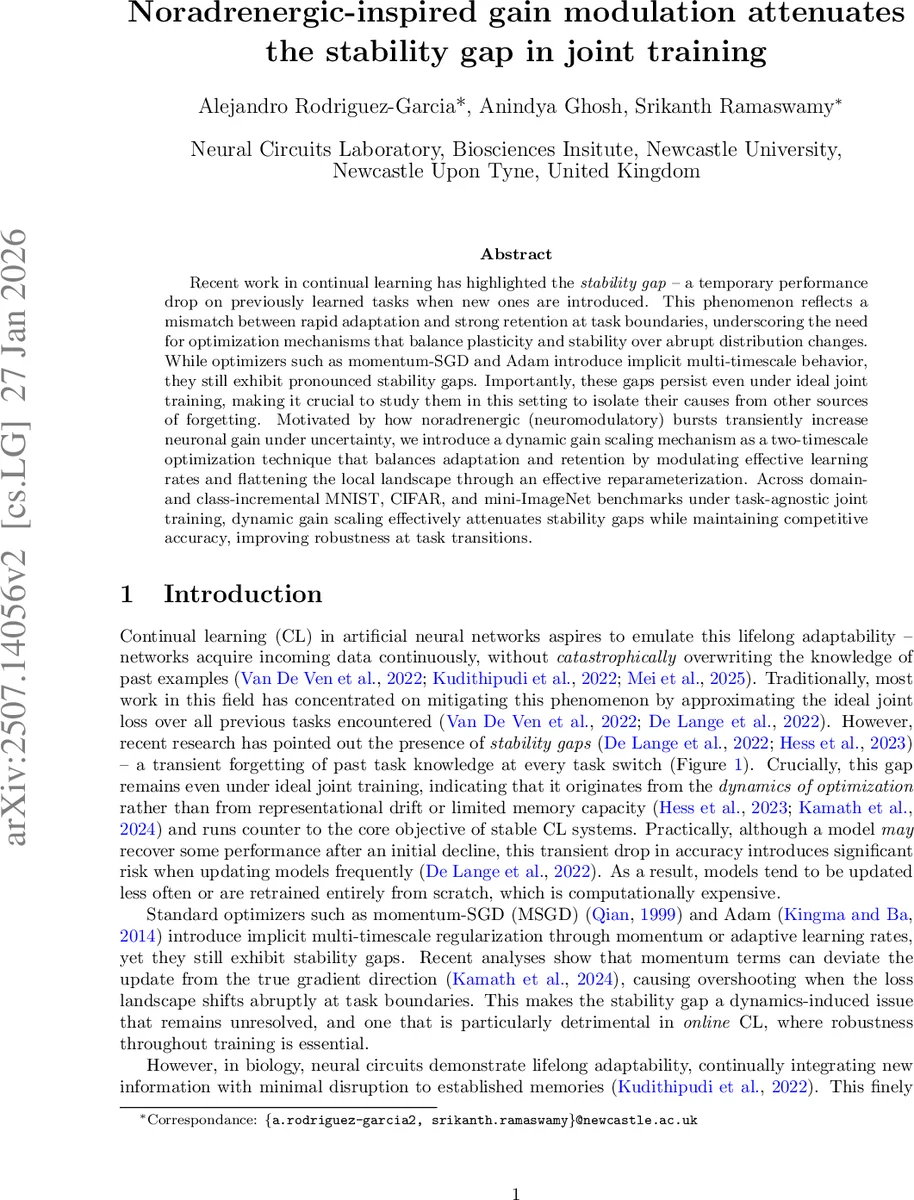 Comparative evaluation of training strategies using partially labelled datasets for segmentation of white matter hyperintensities and stroke lesions in FLAIR MRI