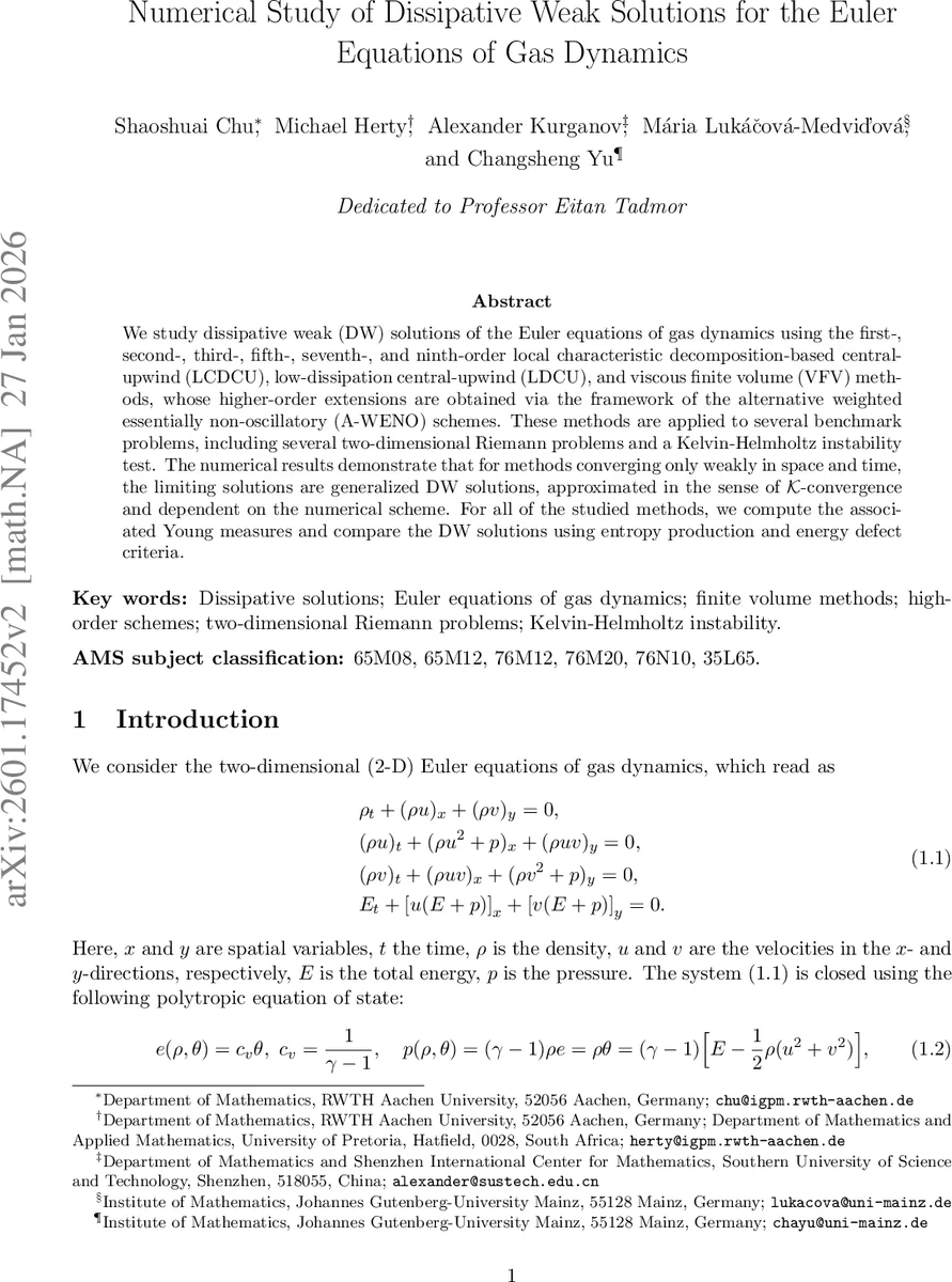 Microscopic structure of the vortex cores in granular niobium: A coherent quantum puzzle