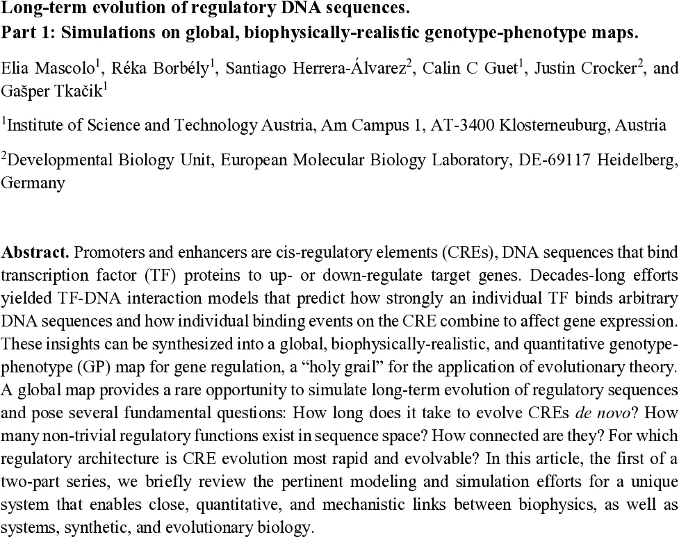 Improving Value-based Process Verifier via Structural Prior Injection