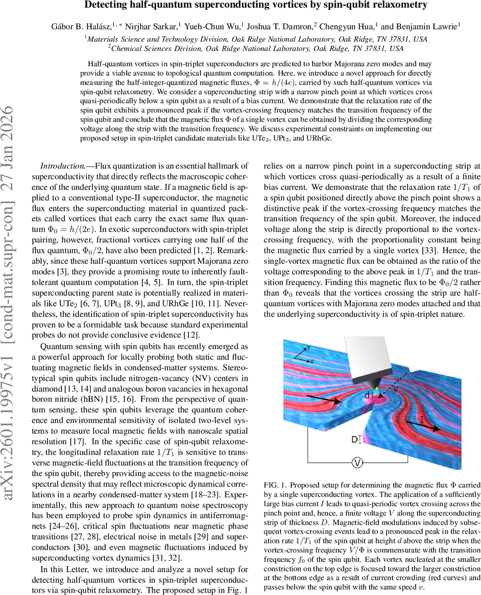 DiSa: Saliency-Aware Foreground-Background Disentangled Framework for Open-Vocabulary Semantic Segmentation