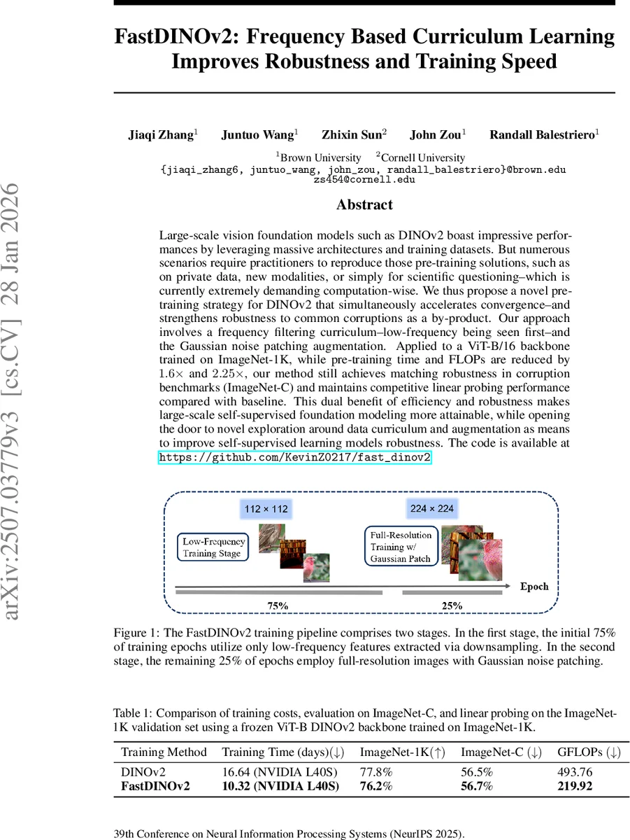 FastDINOv2: Frequency Based Curriculum Learning Improves Robustness and Training Speed
