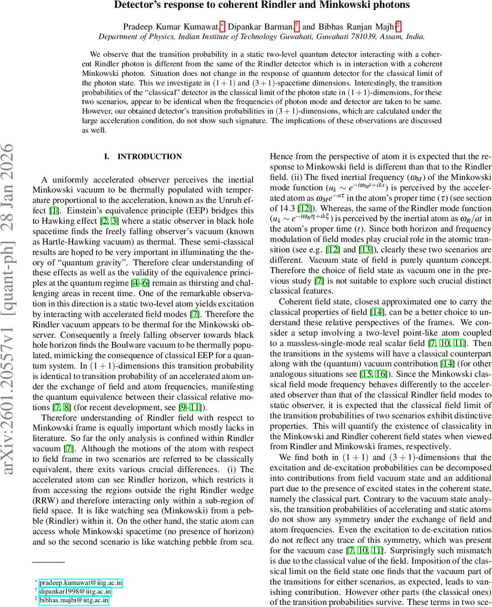 BioNIC: Biologically Inspired Neural Network for Image Classification Using Connectomics Principles