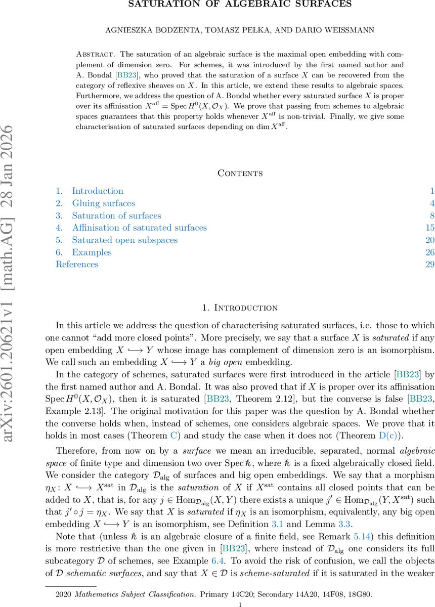BioNIC: Biologically Inspired Neural Network for Image Classification Using Connectomics Principles