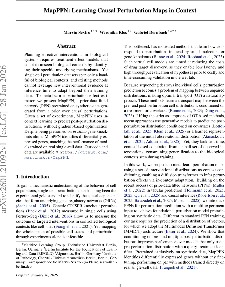 MapPFN: Learning Causal Perturbation Maps in Context