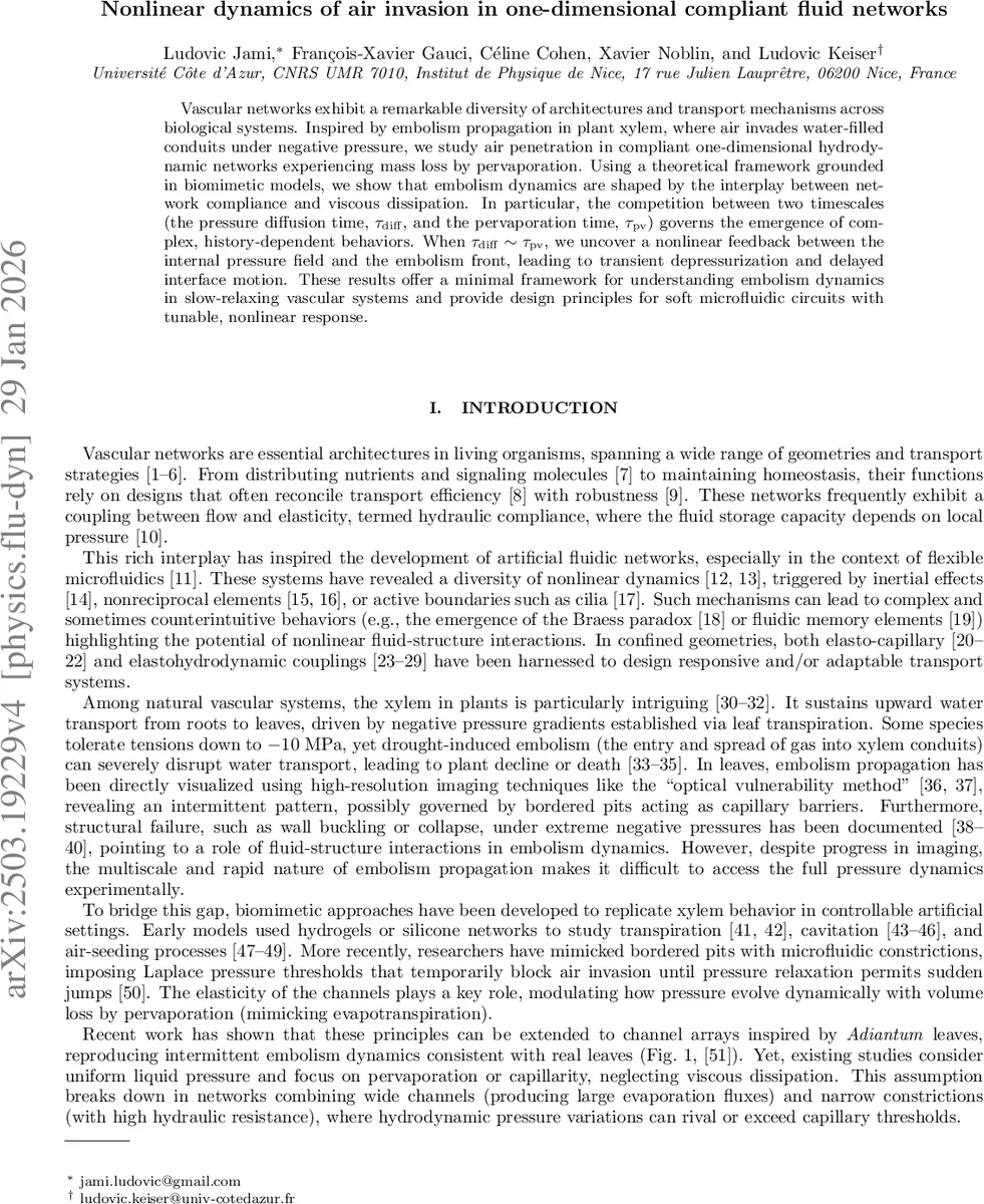 Nonlinear dynamics of air invasion in one-dimensional compliant fluid networks