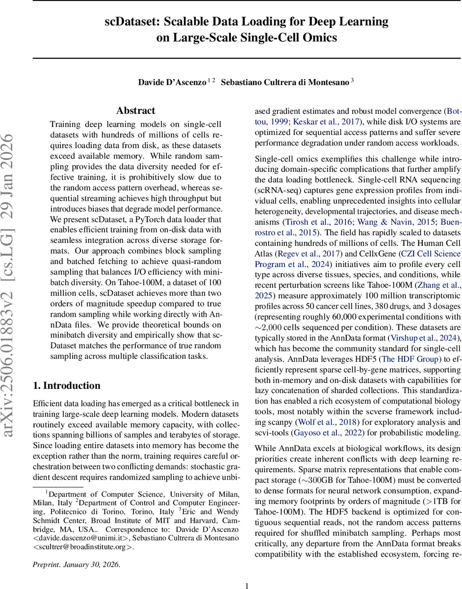 scDataset: Scalable Data Loading for Deep Learning on Large-Scale Single-Cell Omics