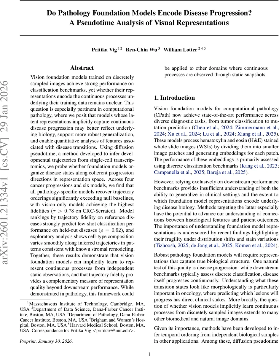 Matterhorn: Efficient Analog Sparse Spiking Transformer Architecture with Masked Time-To-First-Spike Encoding