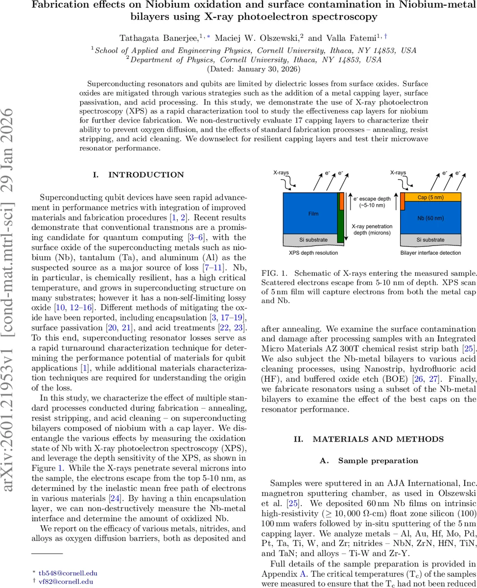 Integrability properties and stochastic McKean-Vlasov dynamics with singular Lennard-Jones drift: a mesoscale regularization