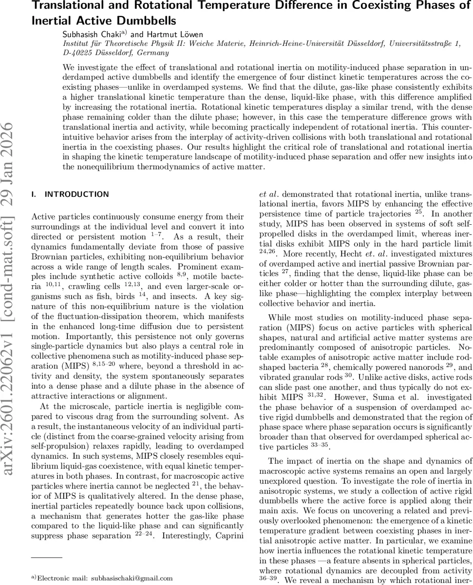 Translational and Rotational Temperature Difference in Coexisting Phases of Inertial Active Dumbbells