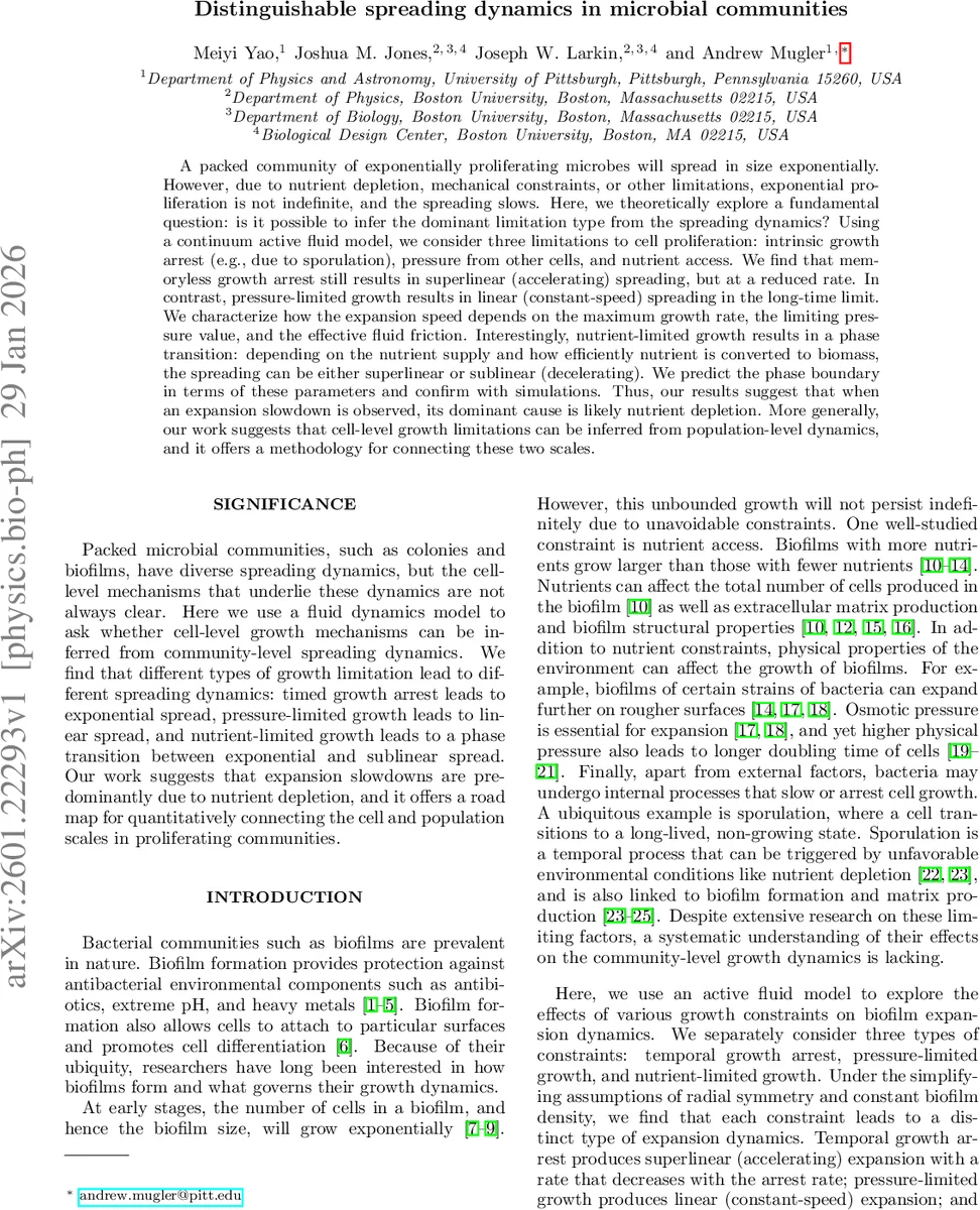 Computer Vision and Its Relationship to Cognitive Science: A perspective from Bayes Decision Theory