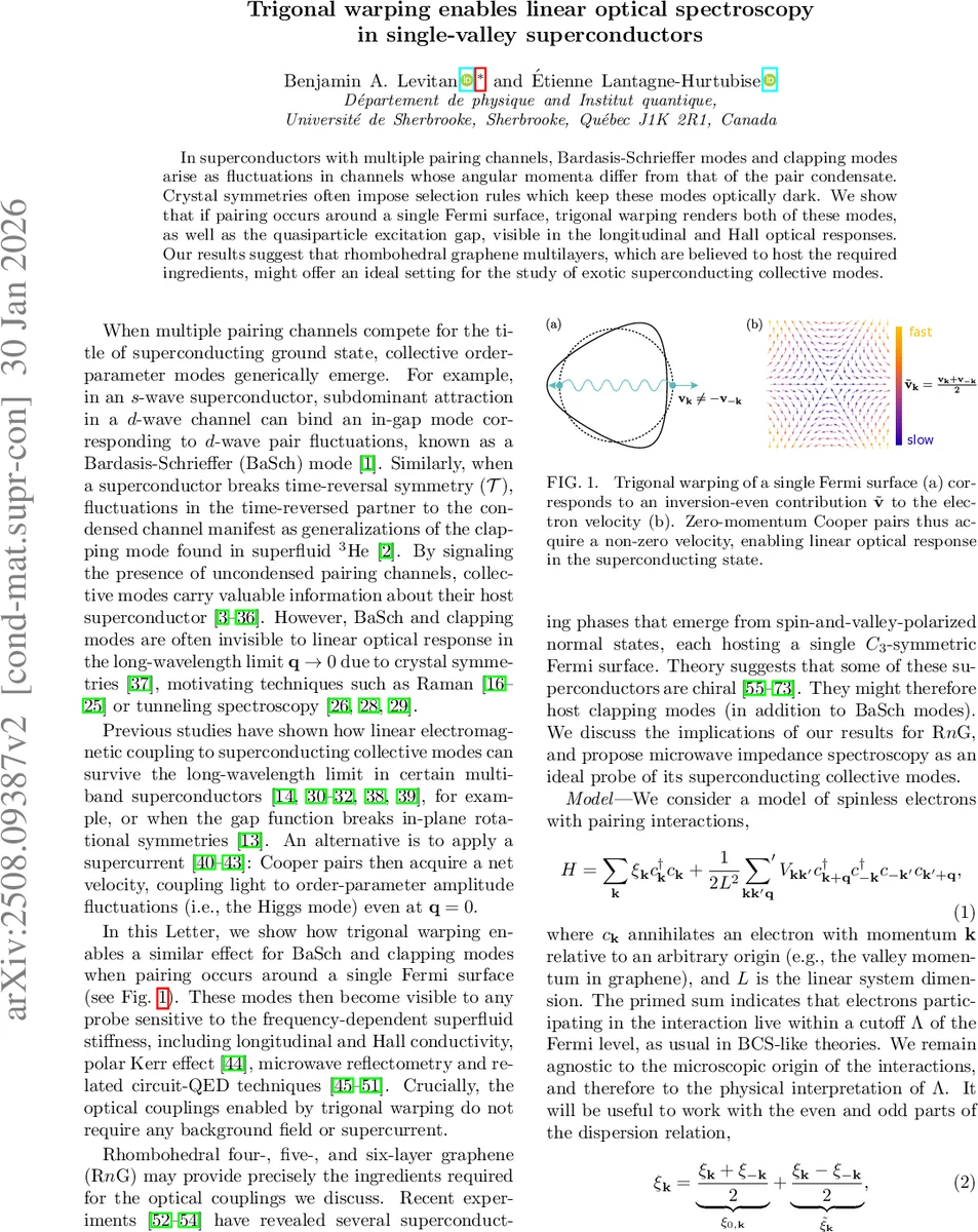Trigonal warping enables linear optical spectroscopy in single-valley superconductors
