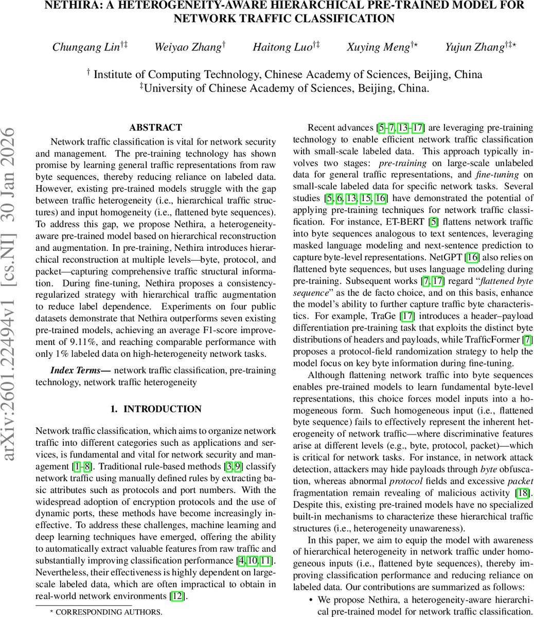 Nethira: A Heterogeneity-aware Hierarchical Pre-trained Model for Network Traffic Classification