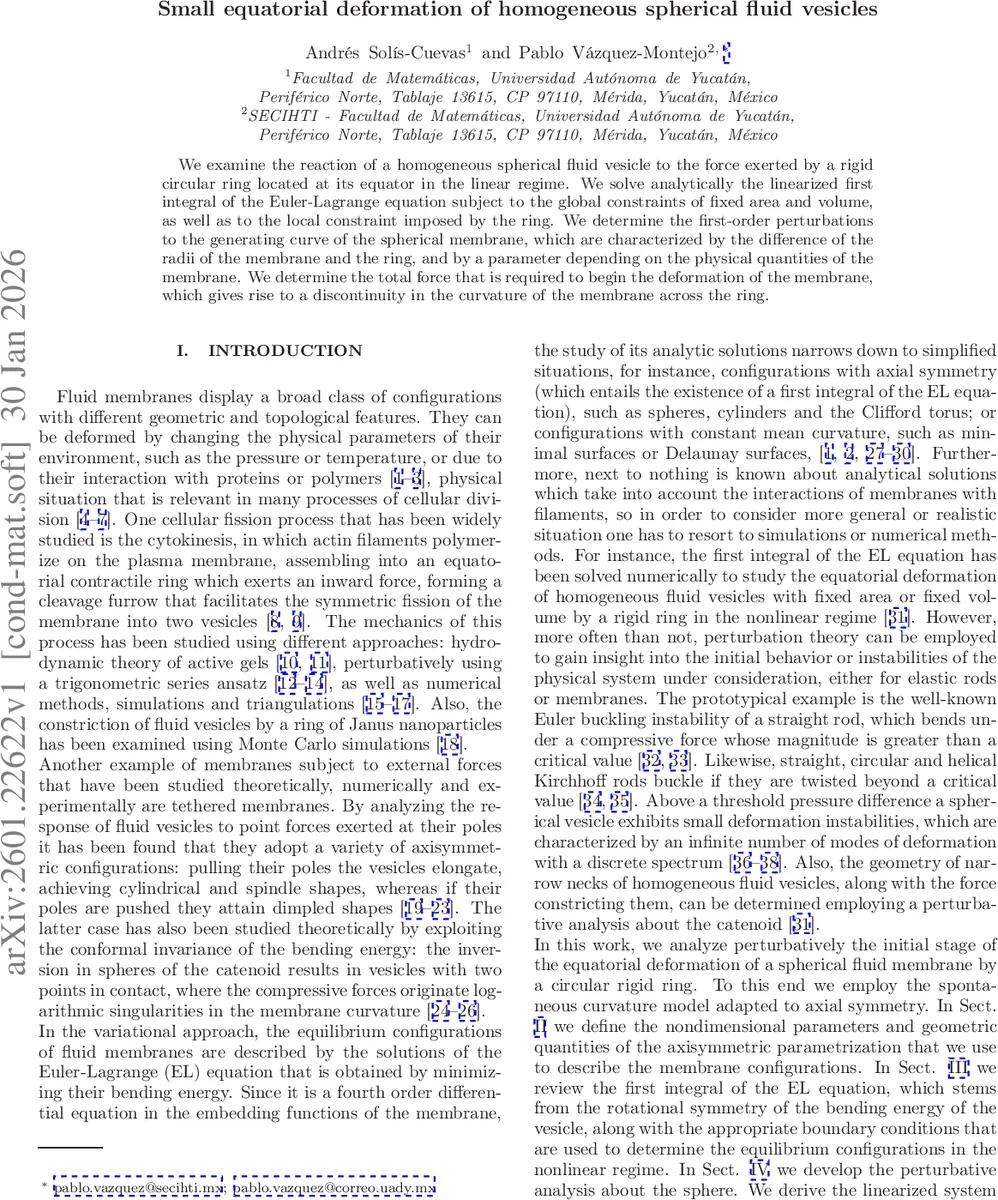 Small equatorial deformation of homogeneous spherical fluid vesicles