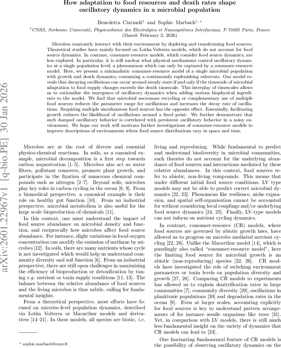 How adaptation to food resources and death rates shape oscillatory dynamics in a microbial population