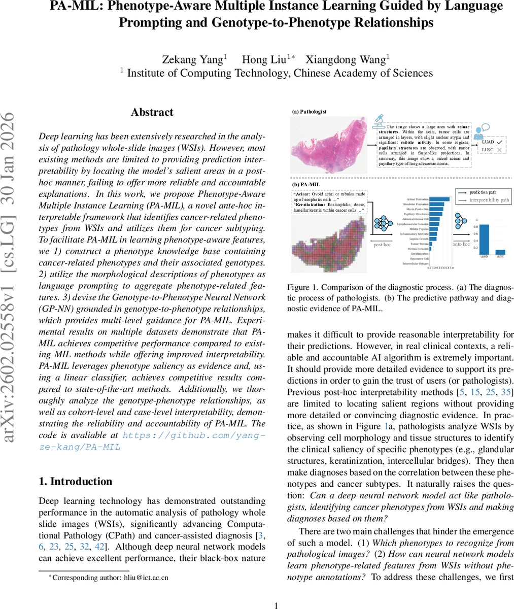 Spin and Charge Conductivity in the Square Lattice Fermi-Hubbard Model