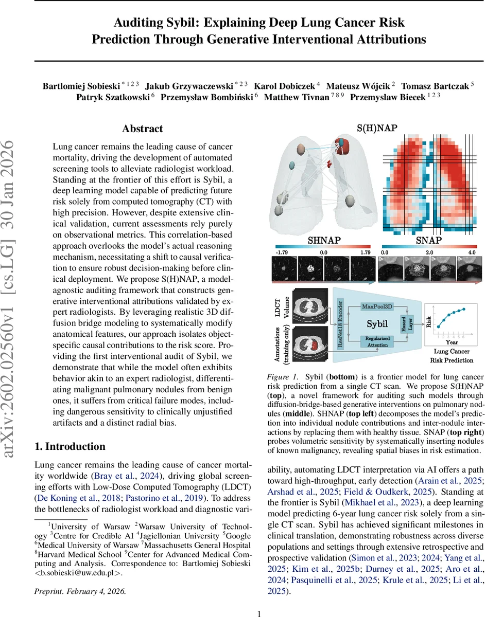 A White-Box Deep-Learning Method for Electrical Energy System Modeling Based on Kolmogorov-Arnold Network