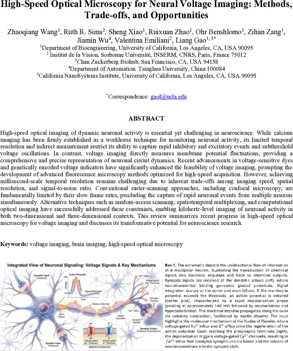 Antisymmetric Mueller generator as the universal origin of geometric phase in classical polarization and quantum two-level systems