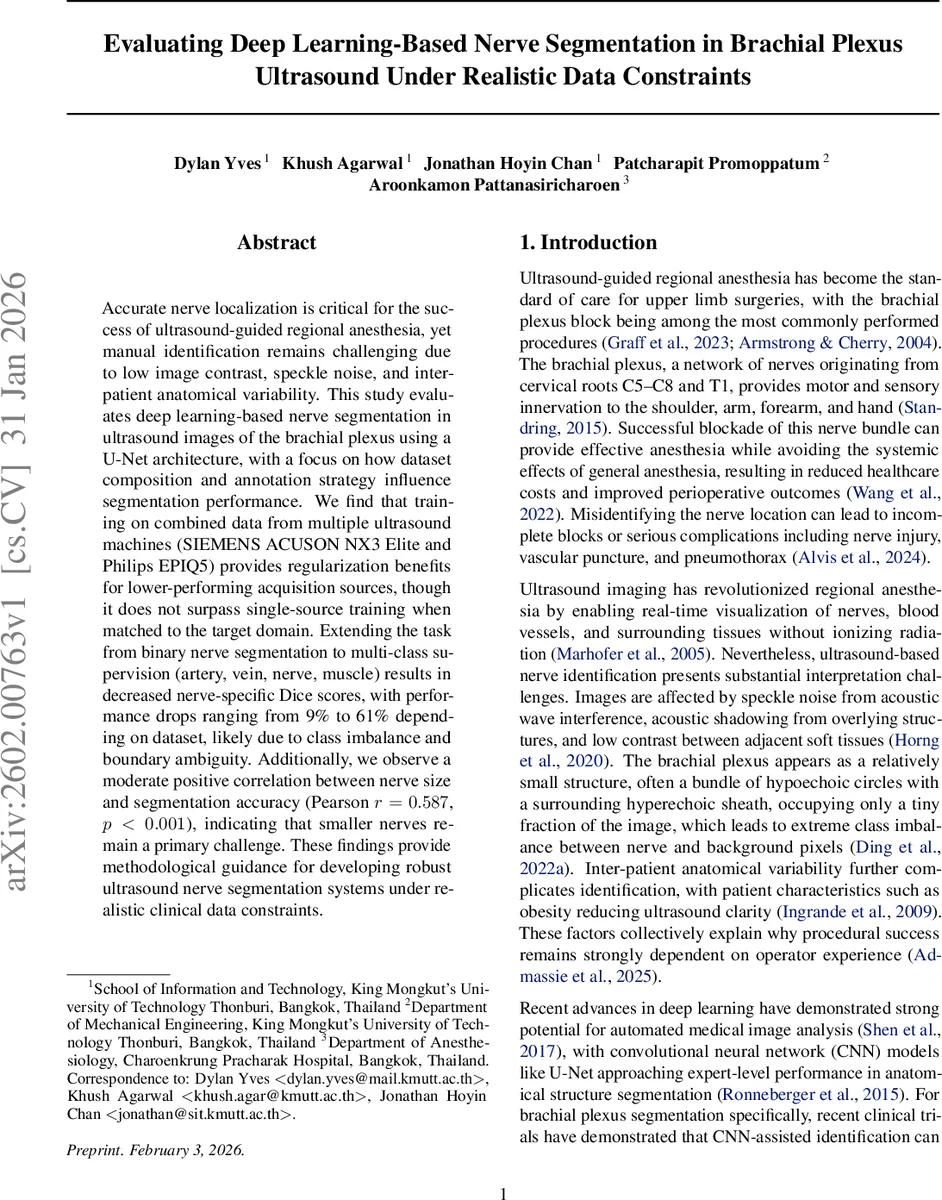 Evaluating Deep Learning-Based Nerve Segmentation in Brachial Plexus Ultrasound Under Realistic Data Constraints