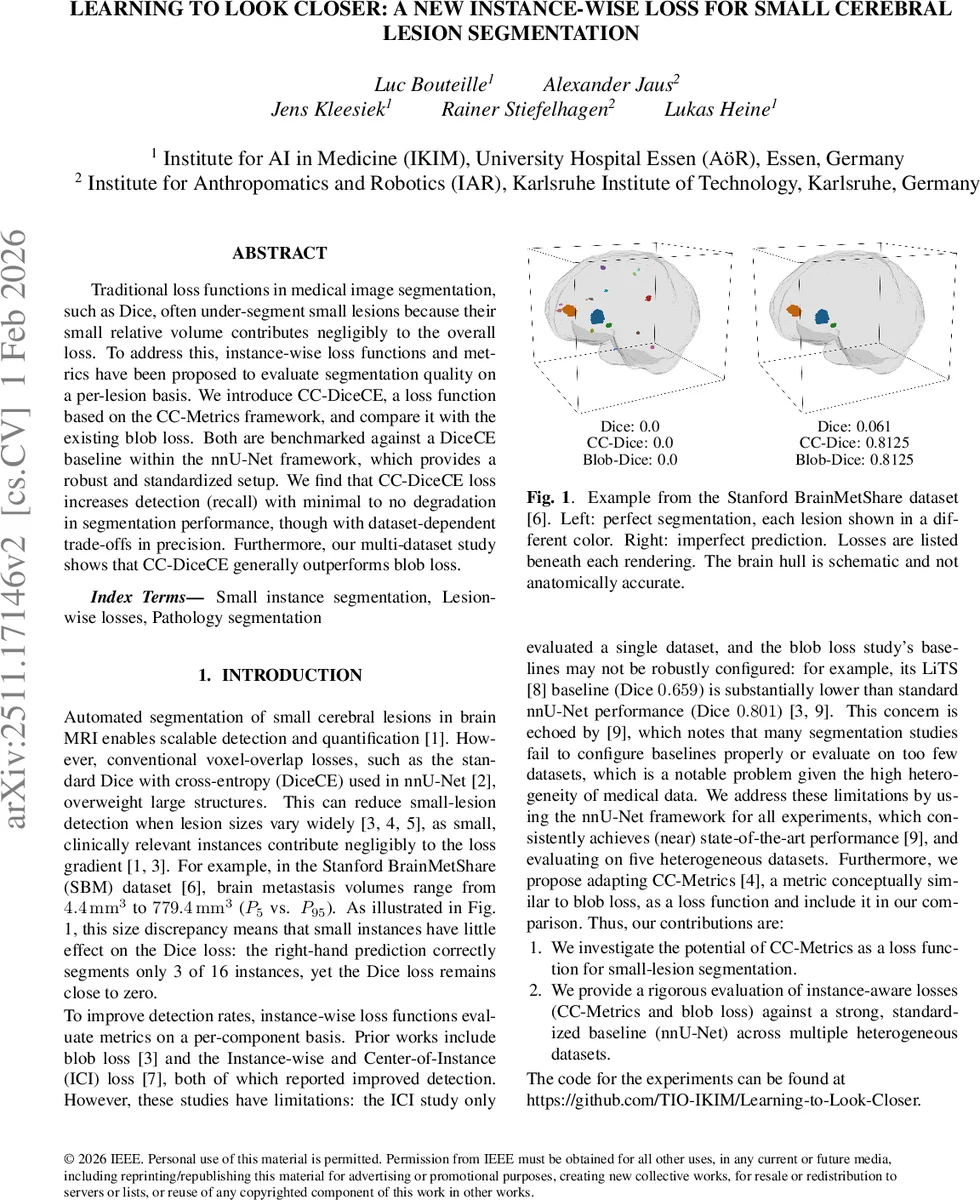 Learning to Look Closer: A New Instance-Wise Loss for Small Cerebral Lesion Segmentation