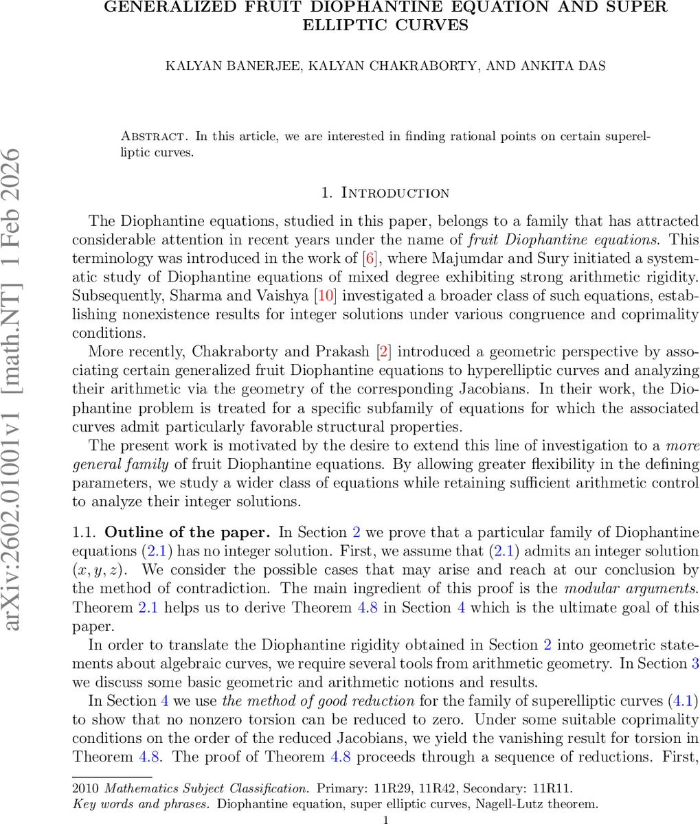 Generalized fruit Diophantine equation and super elliptic curves
