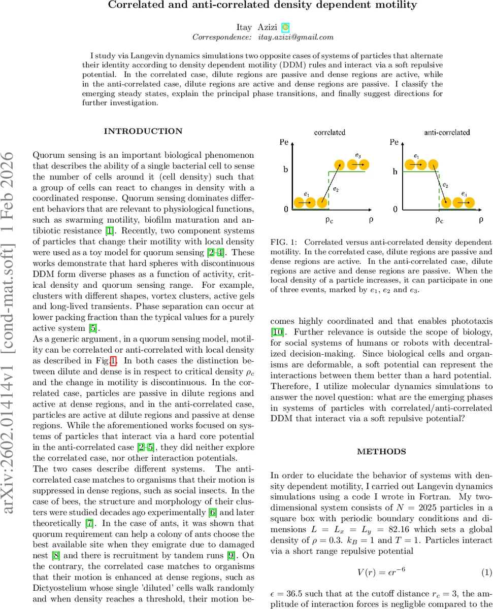 Correlated and anti-correlated density dependent motility