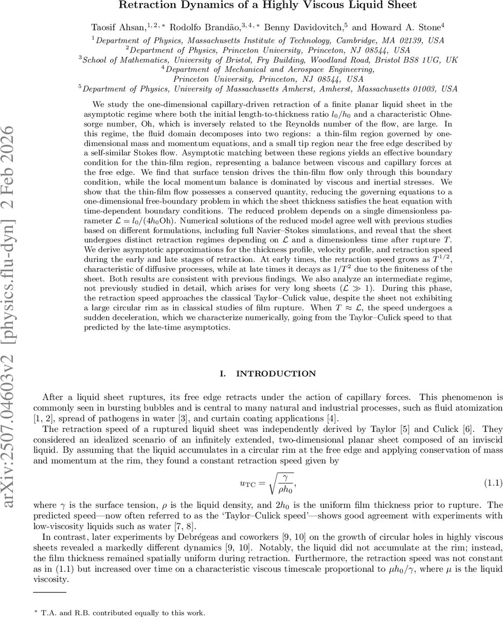 Retraction Dynamics of a Highly Viscous Liquid Sheet