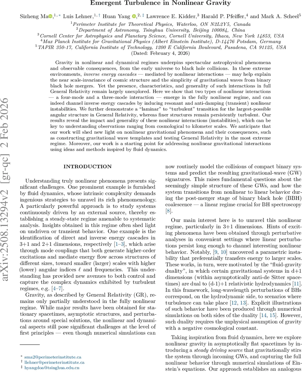 Emergent Turbulence in Nonlinear Gravity