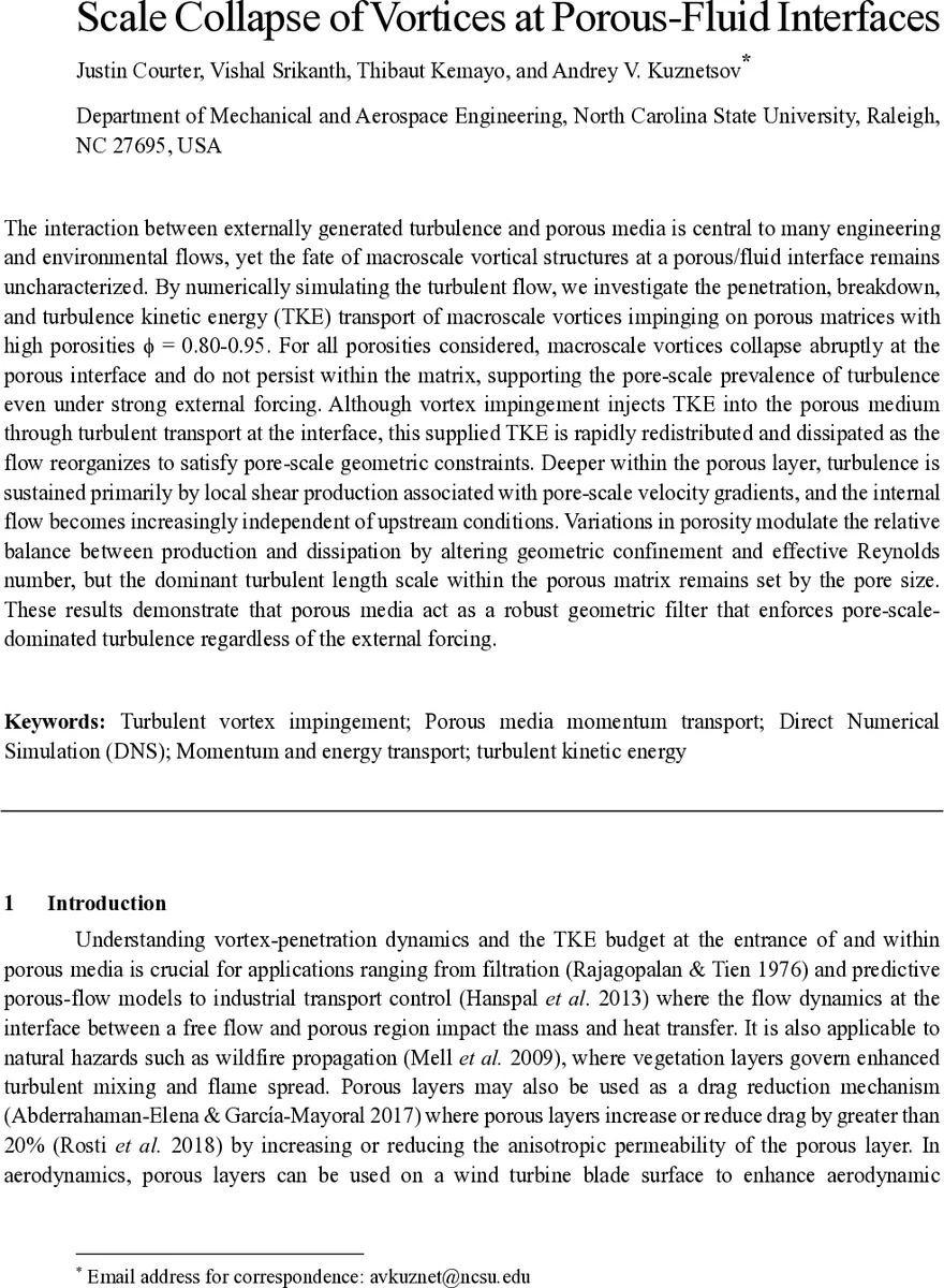 Scale Collapse of Vortices at Porous-Fluid Interfaces