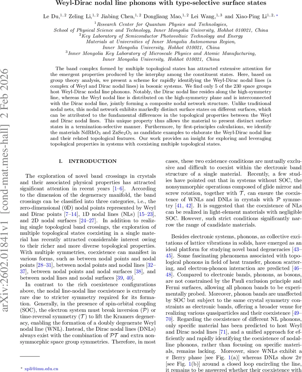 Weyl-Dirac nodal line phonons with type-selective surface states