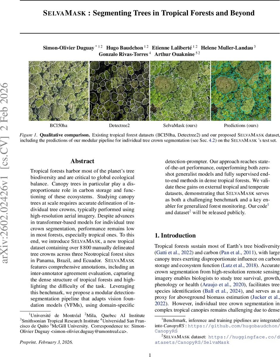 SelvaMask: Segmenting Trees in Tropical Forests and Beyond