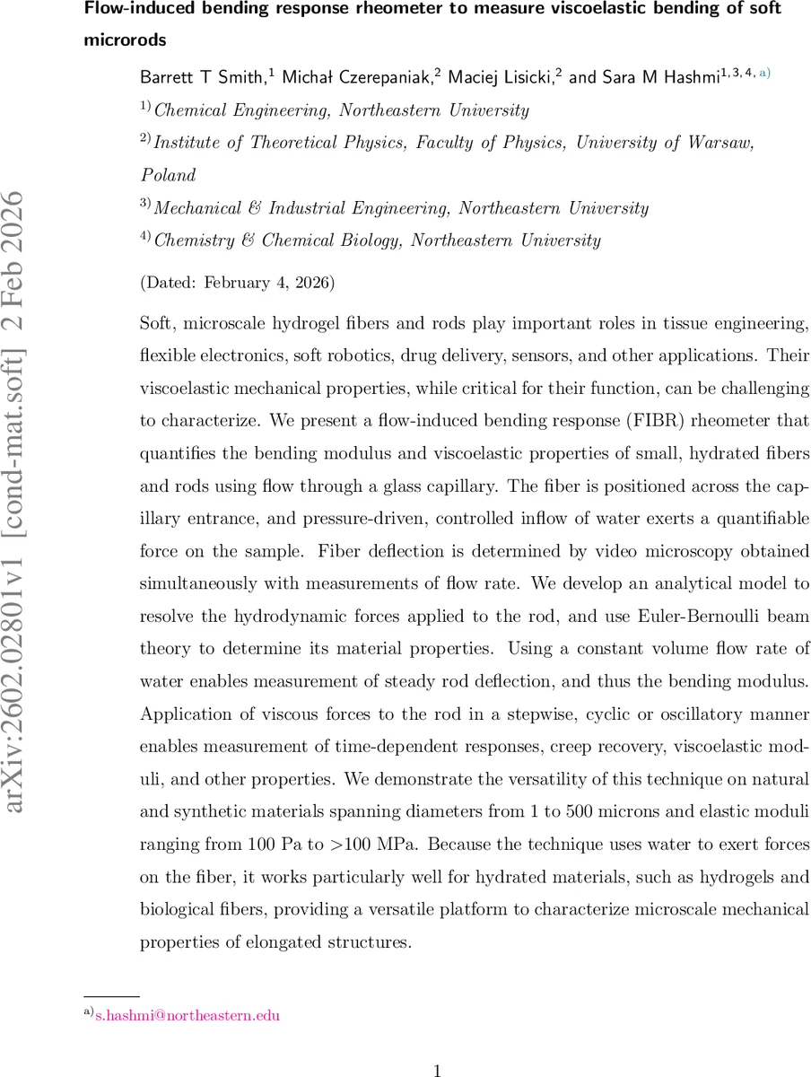 HPE: Hallucinated Positive Entanglement for Backdoor Attacks in Federated Self-Supervised Learning