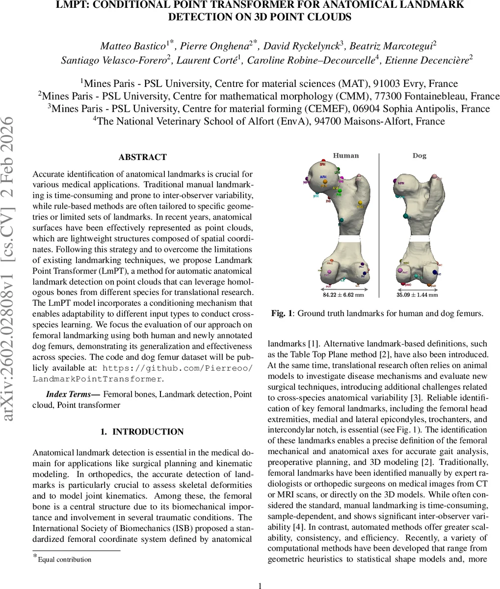 LmPT: Conditional Point Transformer for Anatomical Landmark Detection on 3D Point Clouds
