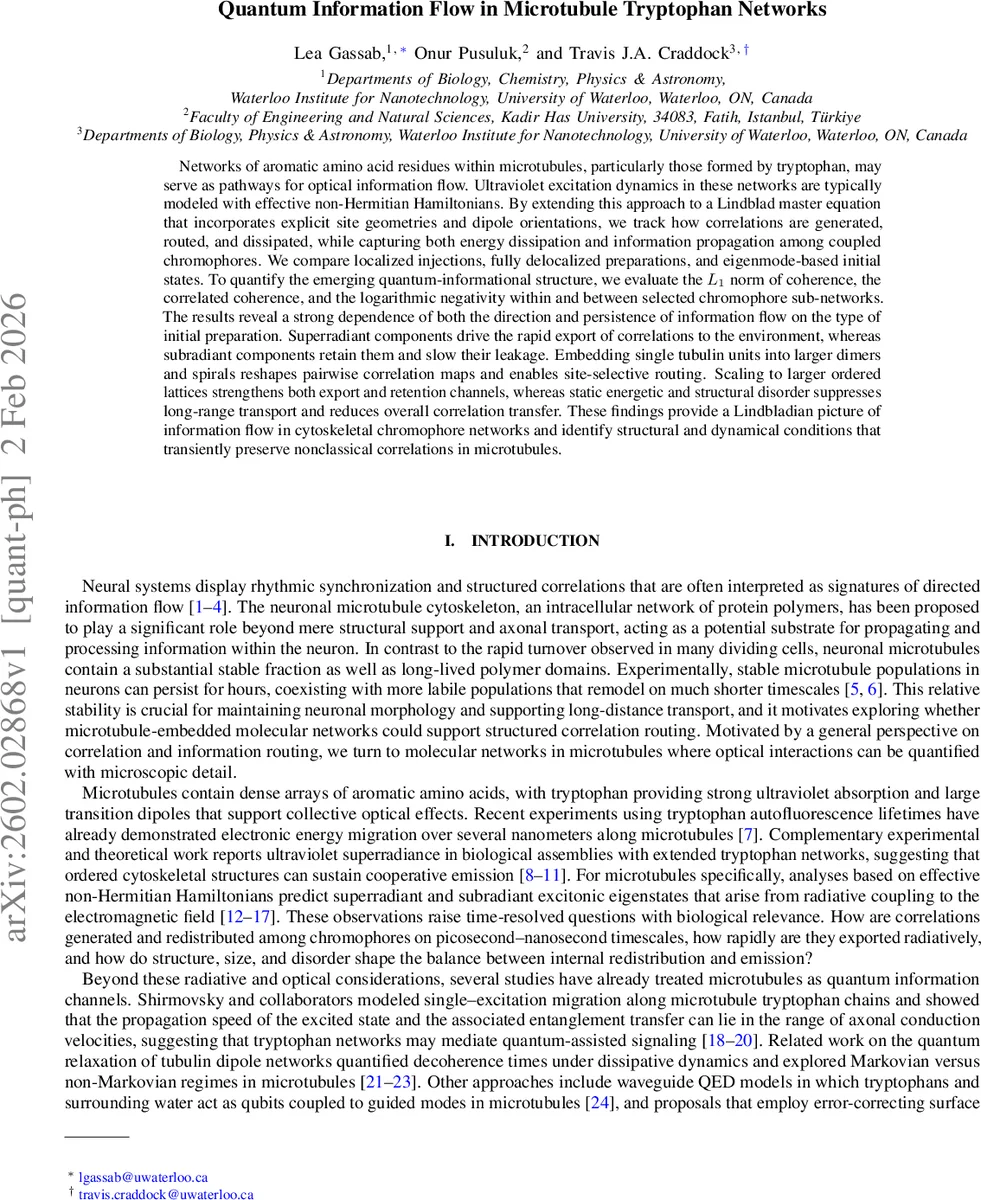 Quantum Information Flow in Microtubule Tryptophan Networks