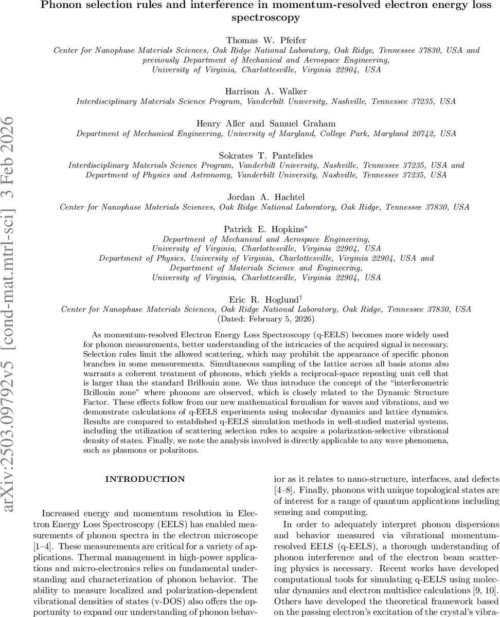 Phonon selection and interference in momentum-resolved electron energy loss spectroscopy